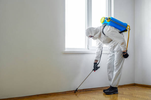 Best Emergency Pest Control  in Parchment, MI