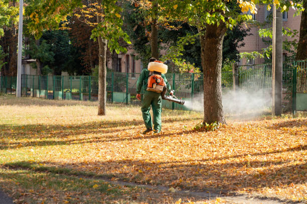 Best Pest Prevention Services  in Parchment, MI