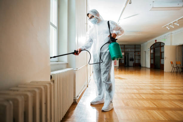 Best Local Pest Control Services  in Parchment, MI