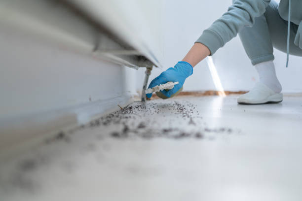 Best Mosquito Control Services  in Parchment, MI