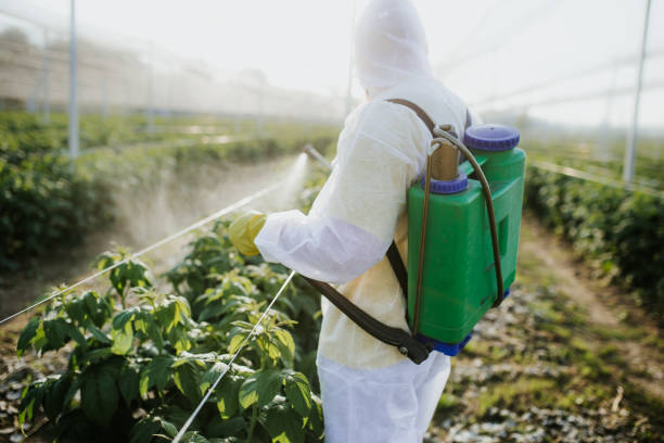 Best Flea Control Services  in Parchment, MI